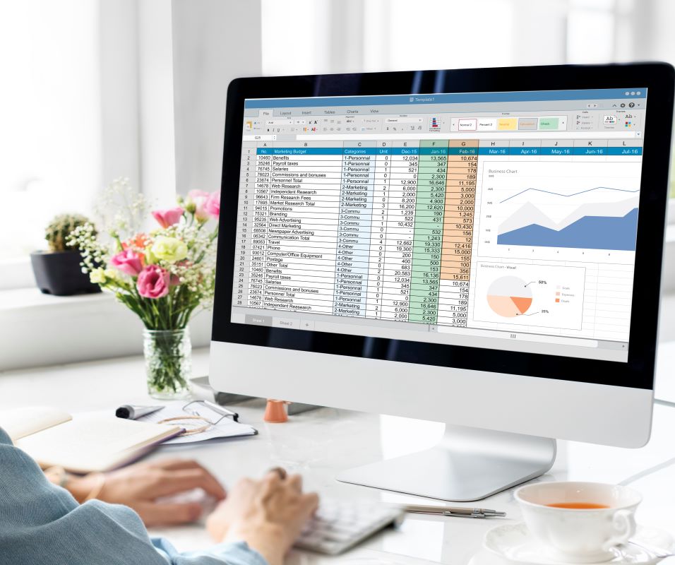 Aplicació del full de càlcul Excel. Nivell avançat – Programa ADA